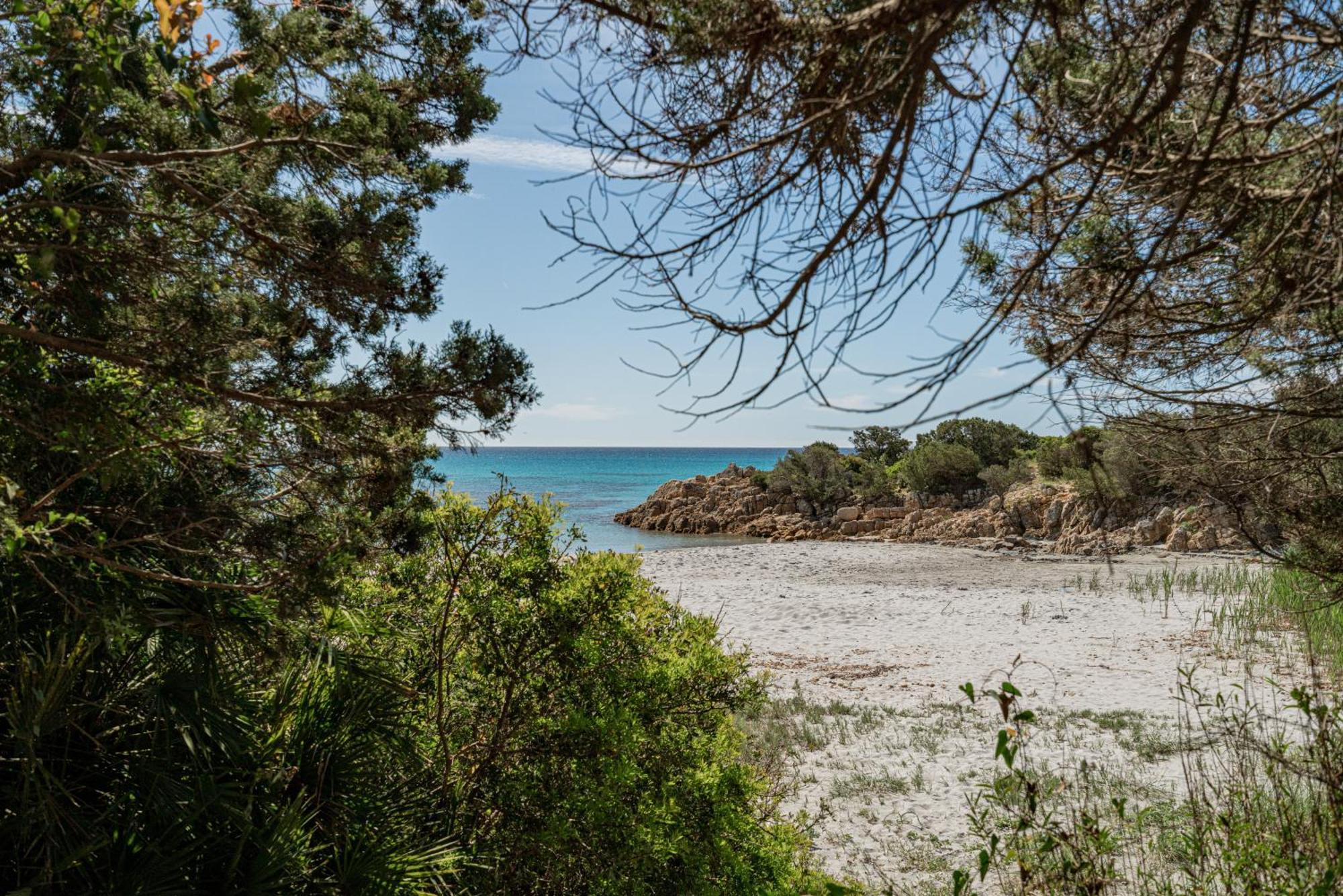 Casa Donatella, In Riva Al Mare! Βίλα Cala Liberotto Εξωτερικό φωτογραφία